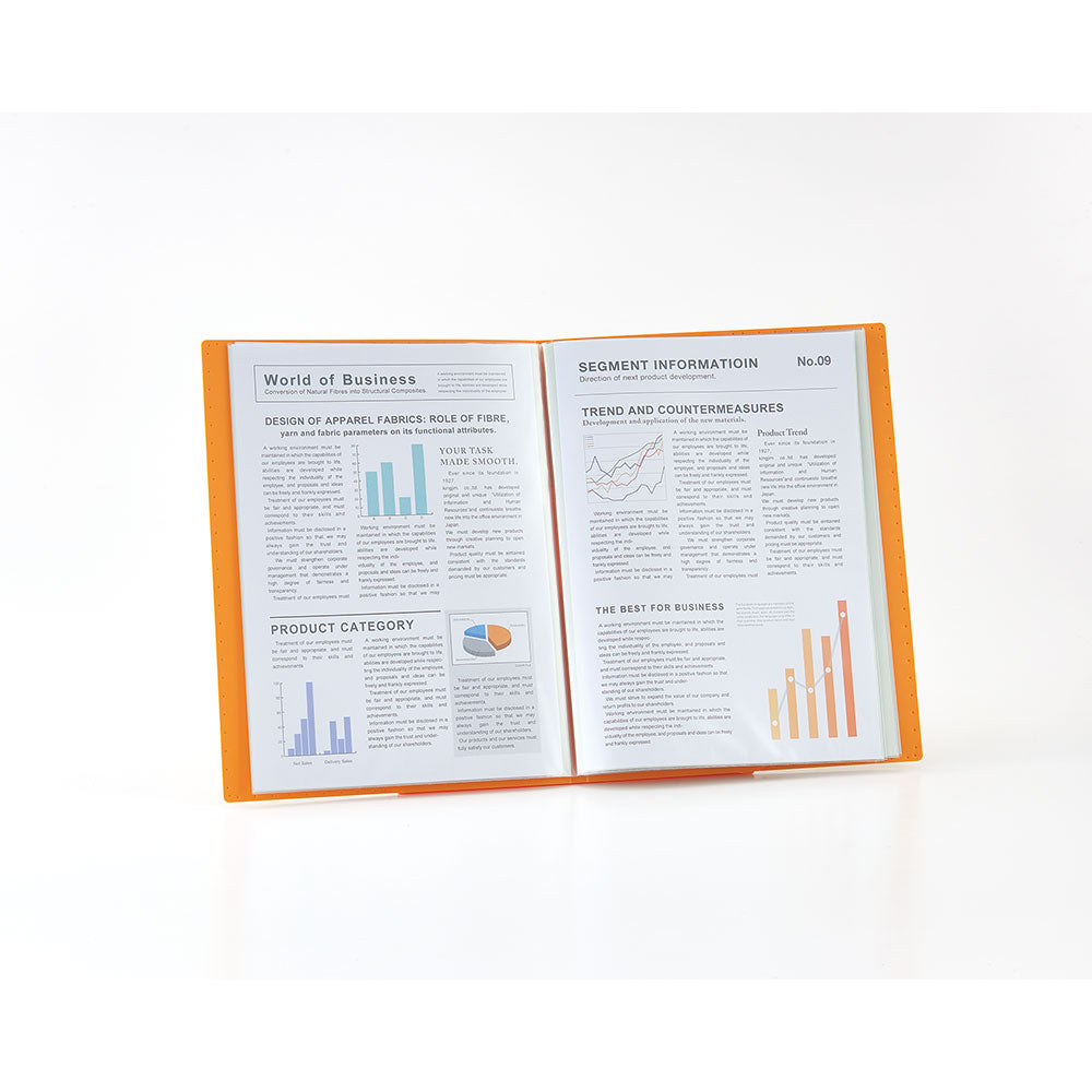 JILITZ Freestanding Clear File