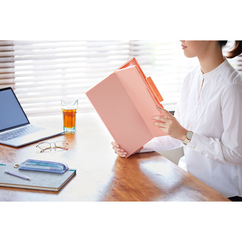 EMILy SLIM FILE CASE / Document case